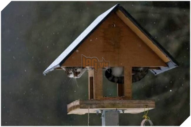 
Qua đêm nay sóng gió sẽ về với mây ngàn. Dậy đi yêu thương ta hãy khép mi nỗi buồn...