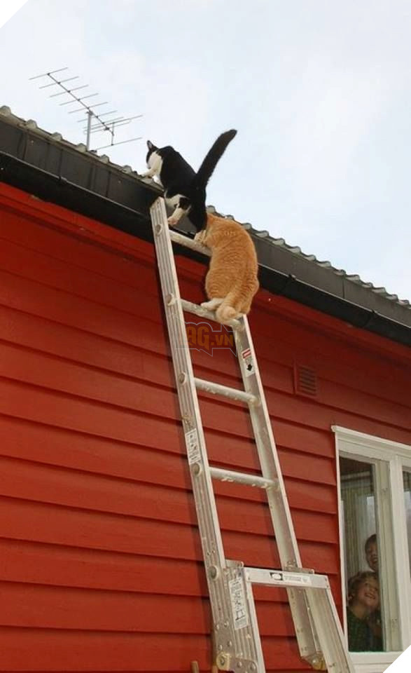 
... thà là bỏ đi hết ta làm lại từ đầu