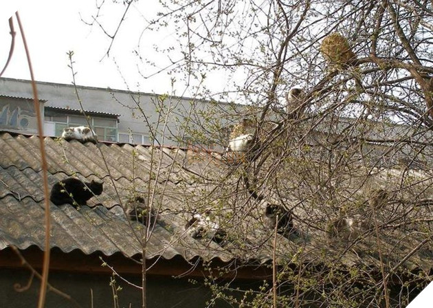 
Thà là bỏ đi hết ta chẳng nợ gì nhau...