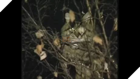 
Chiều chưa đi màn đêm rơi xuống. Đâu đấy buông lững lờ tiếng chuông...