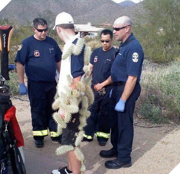 [Vui] Vận số siêu nhọ của 14 kẻ đen đủi đụng đâu hỏng đấy - Ảnh 1.