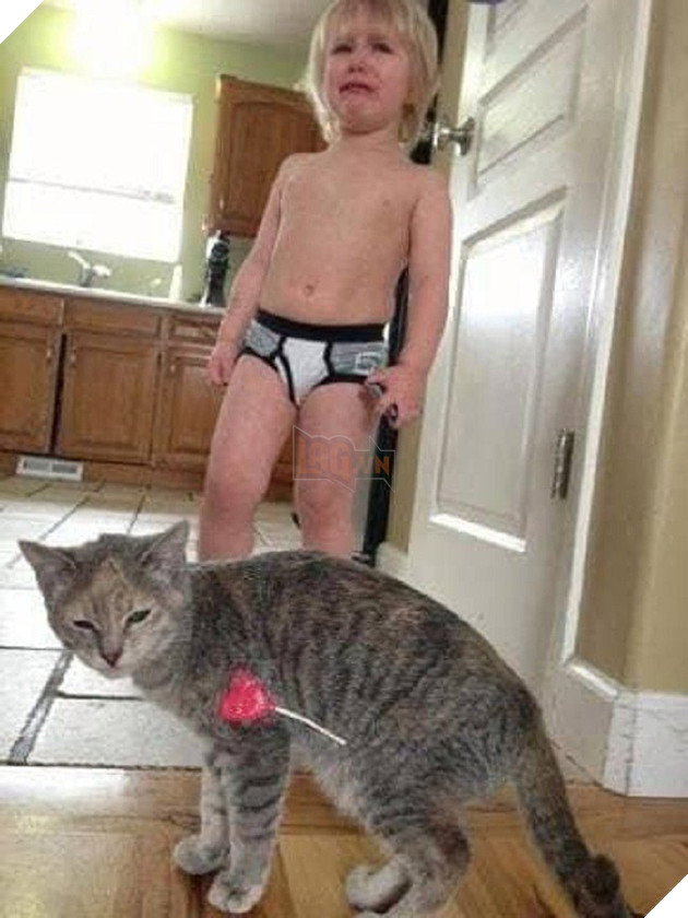 [Vui] Vận số siêu nhọ của 14 kẻ đen đủi đụng đâu hỏng đấy - Ảnh 8.