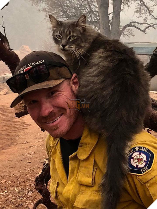 
(Nguồn: Ryan Coleman)