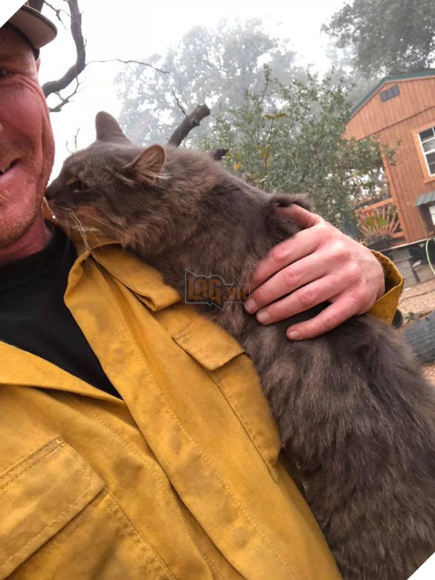 (Nguồn: Ryan Coleman)