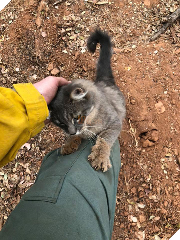 
(Nguồn: Ryan Coleman)