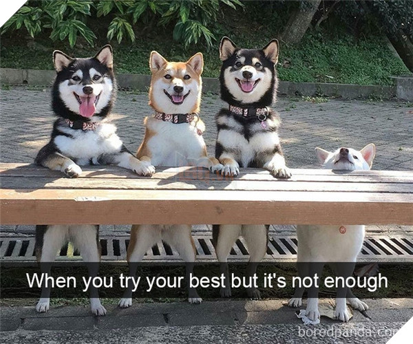 Boss cứ dễ thương và tình cảm như thế này, thì chả trách Sen cứ yêu hoài! 25