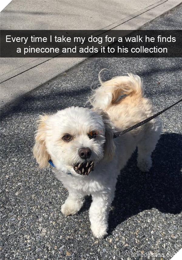 Boss cứ dễ thương và tình cảm như thế này, thì chả trách Sen cứ yêu hoài! 24