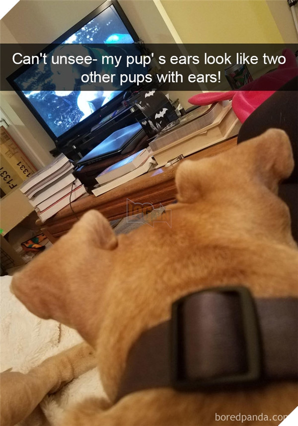 Boss cứ dễ thương và tình cảm như thế này, thì chả trách Sen cứ yêu hoài! 23