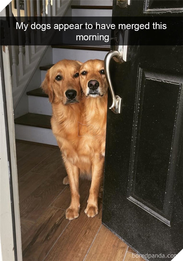 Boss cứ dễ thương và tình cảm như thế này, thì chả trách Sen cứ yêu hoài! 22