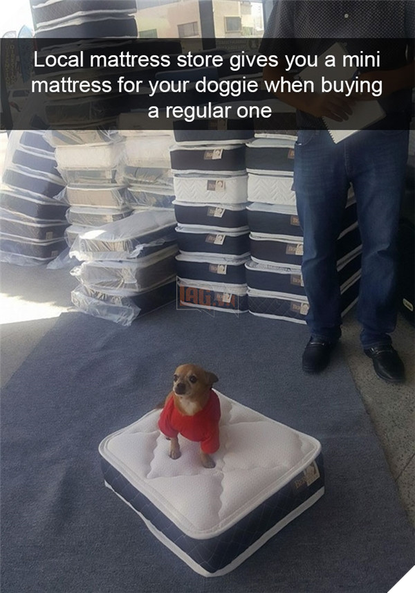 Boss cứ dễ thương và tình cảm như thế này, thì chả trách Sen cứ yêu hoài! 20