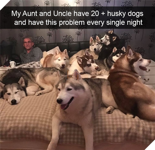 Boss cứ dễ thương và tình cảm như thế này, thì chả trách Sen cứ yêu hoài! 16