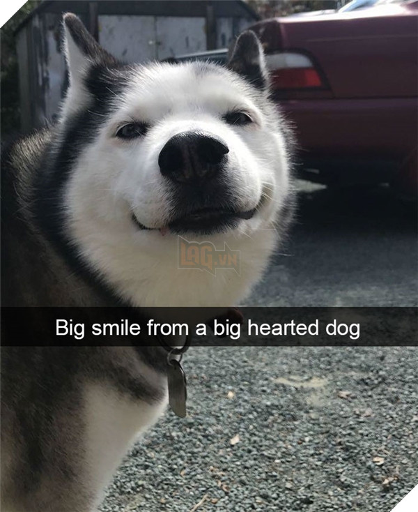 Boss cứ dễ thương và tình cảm như thế này, thì chả trách Sen cứ yêu hoài! 15