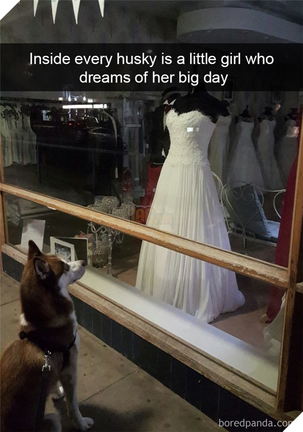 Boss cứ dễ thương và tình cảm như thế này, thì chả trách Sen cứ yêu hoài! 13