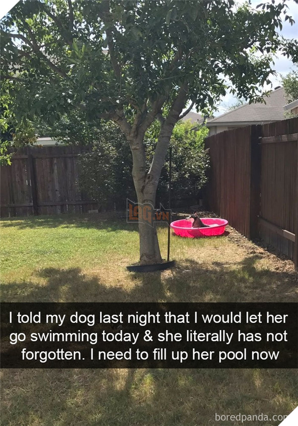 Boss cứ dễ thương và tình cảm như thế này, thì chả trách Sen cứ yêu hoài! 11