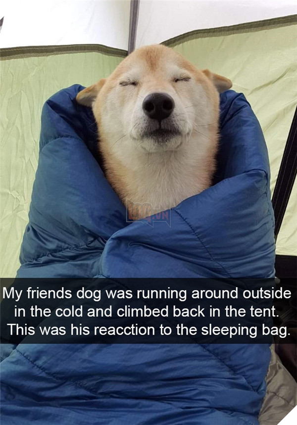 Boss cứ dễ thương và tình cảm như thế này, thì chả trách Sen cứ yêu hoài! 10