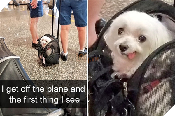 Boss cứ dễ thương và tình cảm như thế này, thì chả trách Sen cứ yêu hoài! 9