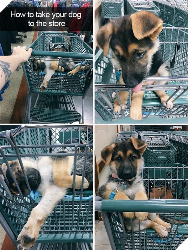 Boss cứ dễ thương và tình cảm như thế này, thì chả trách Sen cứ yêu hoài! 6