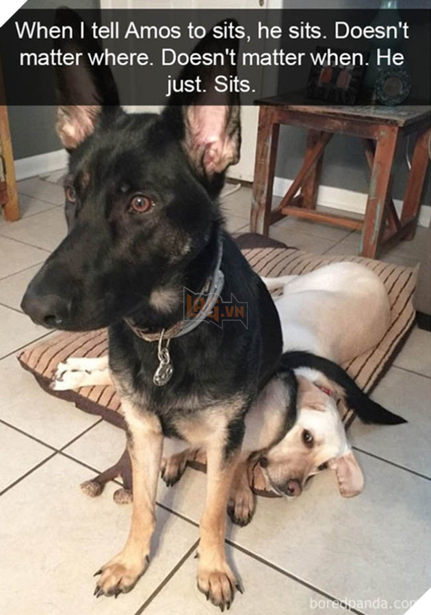 Boss cứ dễ thương và tình cảm như thế này, thì chả trách Sen cứ yêu hoài!