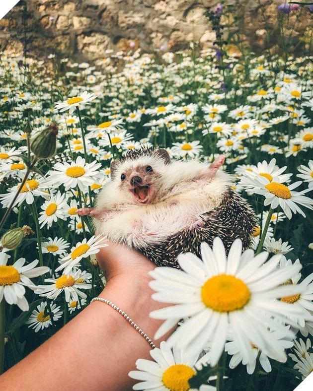 Cùng em đi khắp thế gian.