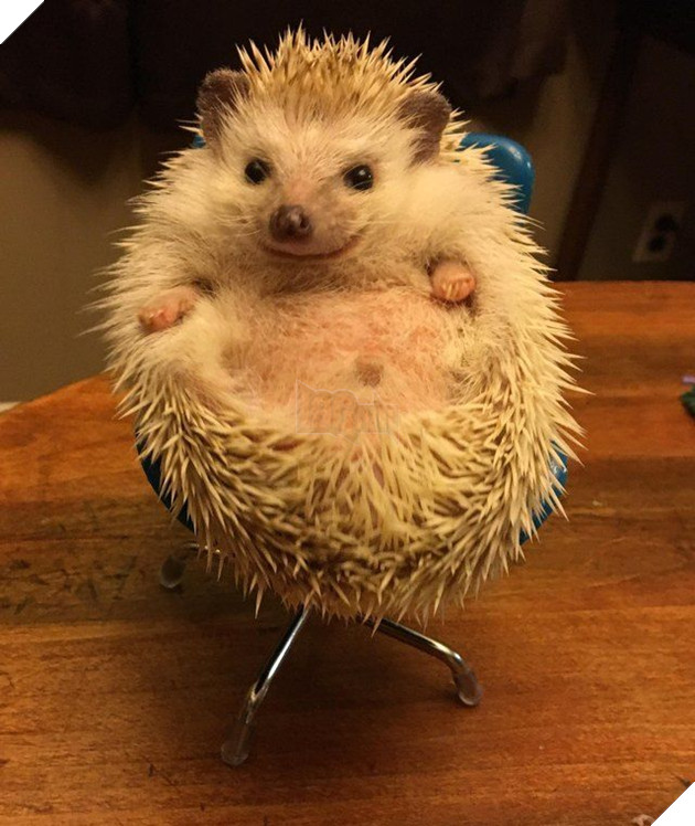 
Để Boss đợi hơi bị lâu rồi nghen.