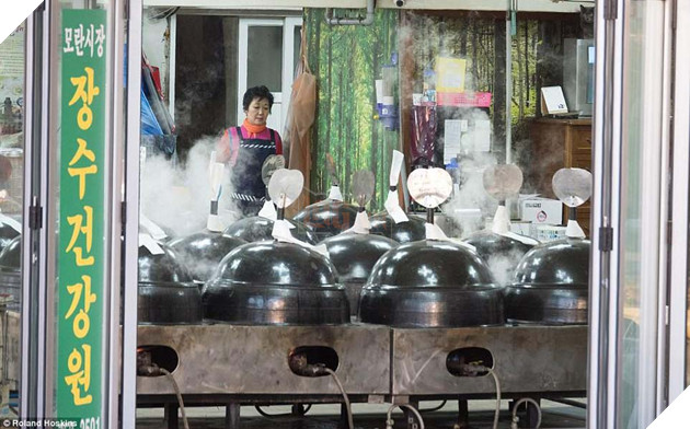 Tai Han Quoc cho lam thit dang khon kho vi bay ban cong khai khien nguoi khac dau long 10 Tại Hàn Quốc chó làm thịt đang khốn khổ vì bầy bán công khai khiến người khác đau lòng 10