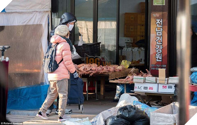 Tai Han Quoc cho lam thit dang khon kho vi bay ban cong khai khien nguoi khac dau long 9 Tại Hàn Quốc chó làm thịt đang khốn khổ vì bầy bán công khai khiến người khác đau lòng 9
