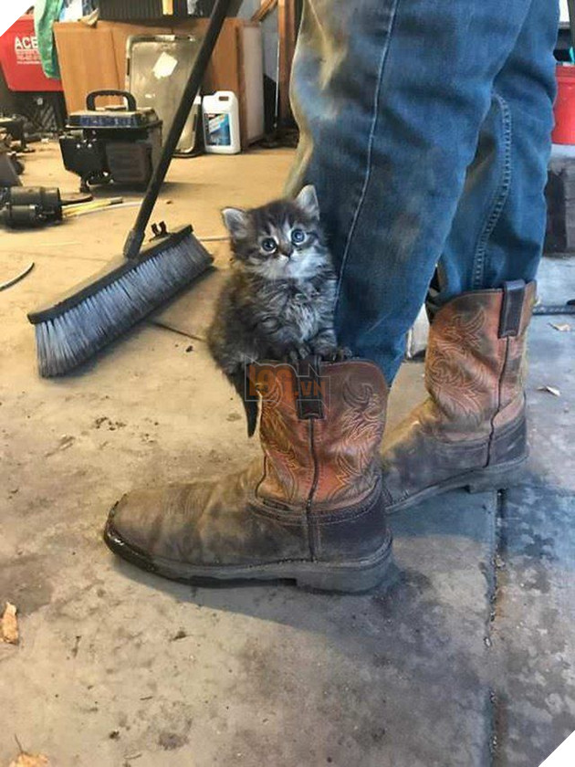 
"Bố ơi dọn nhanh lên con mệt quá rồi nè!"