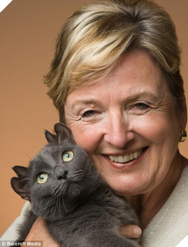 odxstwuguhin 4919 700