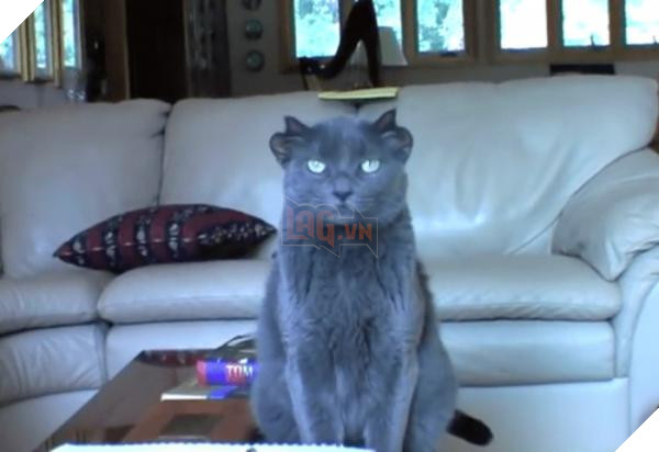 sbsdtxweullr 4919 700