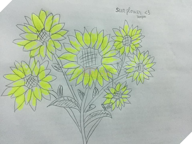 dan mang dong loat chia se tranh hoa huong duong tu ve ung ho benh nhi ung thu 30000 dong