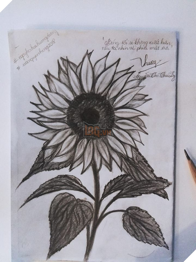 dan mang dong loat chia se tranh hoa huong duong tu ve ung ho benh nhi ung thu 30000 dong