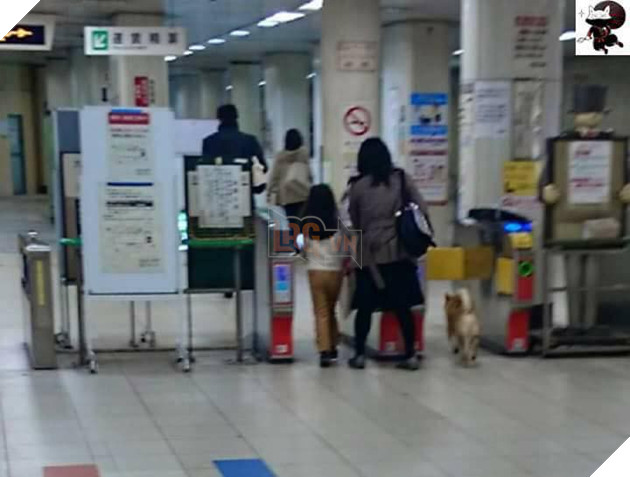 Sieu hai huoc hinh anh chu cho bi bao ve be nguoc vi co dinh nhay tau tron ve di choi tai Nhat 2 Siêu hài hước hình ảnh chú chó bị bảo vệ bế ngược vì có định nhảy tàu trốn vé đi chơi tại Nhật 2