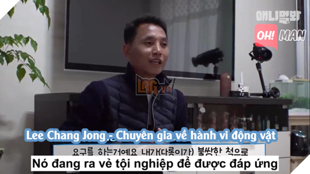Chết cười bé cún 'diễn sâu', giả vờ mắc bệnh hiểm nghèo để được chủ dẫn đi chơi Chết cười bé cún 'diễn sâu', giả vờ mắc bệnh hiểm nghèo để được chủ dẫn đi chơi