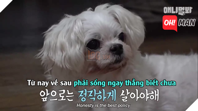 Từ nay về sau Dorong sẽ không "hư" vậy nữa.
Từ nay về sau Dorong sẽ không "hư" vậy nữa.