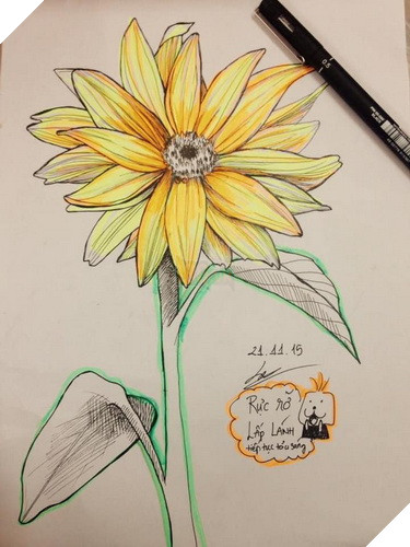 Rắc rối xoay quanh sự kiện share hoa hướng dương trên Facebook góp quỹ cho bệnh nhi 2