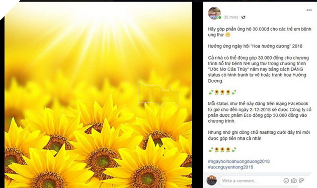 Rắc rối xoay quanh sự kiện share hoa hướng dương trên Facebook góp quỹ cho bệnh nhi 4