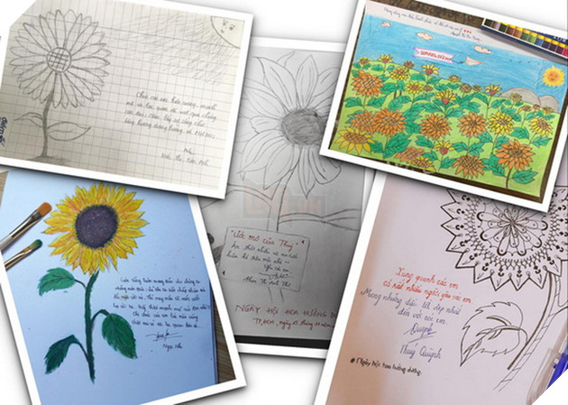 Rắc rối xoay quanh sự kiện share hoa hướng dương trên Facebook góp quỹ cho bệnh nhi