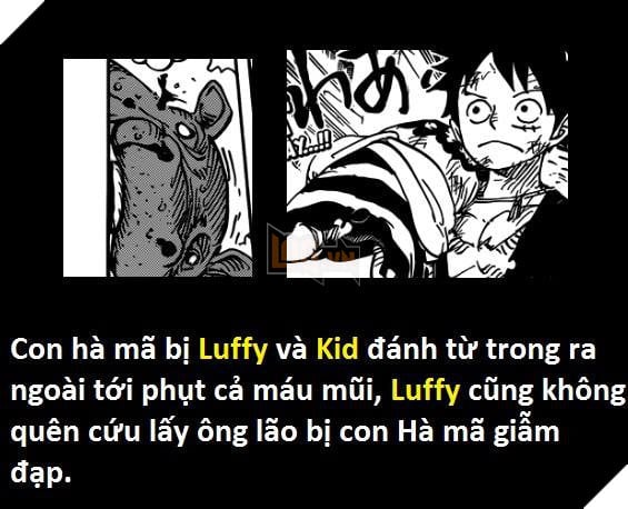 Góc soi mói One Piece 926: Dù chỉ còn một tay, Kid vẫn trâu bò chẳng kém Luffy - Ảnh 18. Góc soi mói One Piece 926: Dù chỉ còn một tay, Kid vẫn trâu bò chẳng kém Luffy - Ảnh 18.