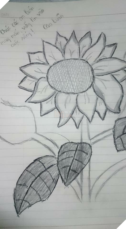 Tổng hợp những hình ảnh hợp lệ cho sự kiện share hoa hướng dương trên Facebook góp quỹ cho bệnh nhi Ung Thư Phần 1  2