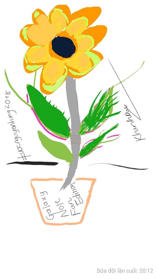 Tổng hợp những hình ảnh hợp lệ cho sự kiện share hoa hướng dương trên Facebook góp quỹ cho bệnh nhi Ung Thư Phần 1  9