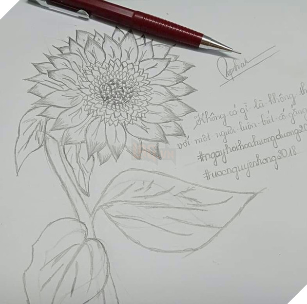 Tổng hợp những hình ảnh hợp lệ cho sự kiện share hoa hướng dương trên Facebook góp quỹ cho bệnh nhi Ung Thư Phần 2  5