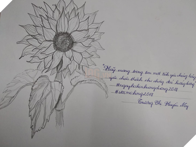 Tổng hợp những hình ảnh hợp lệ cho sự kiện share hoa hướng dương trên Facebook góp quỹ cho bệnh nhi Ung Thư Phần 2  7