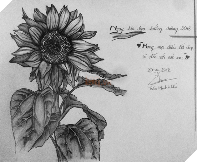 Tổng hợp những hình ảnh hợp lệ cho sự kiện share hoa hướng dương trên Facebook góp quỹ cho bệnh nhi Ung Thư Phần 2  8