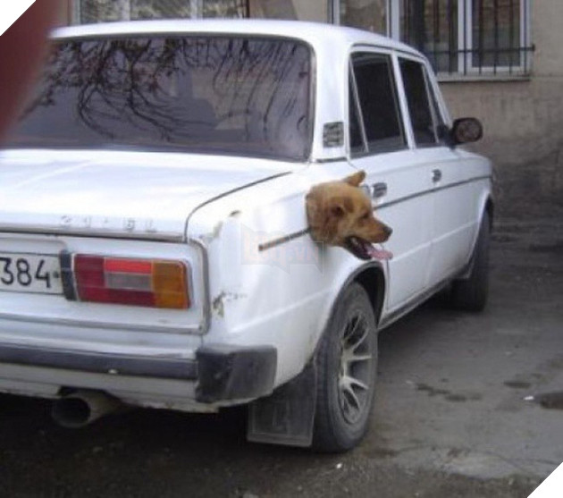 [Vui] Những bức ảnh phi logic khiến bạn cứ ngỡ mình bị hoa mắt - Ảnh 2.