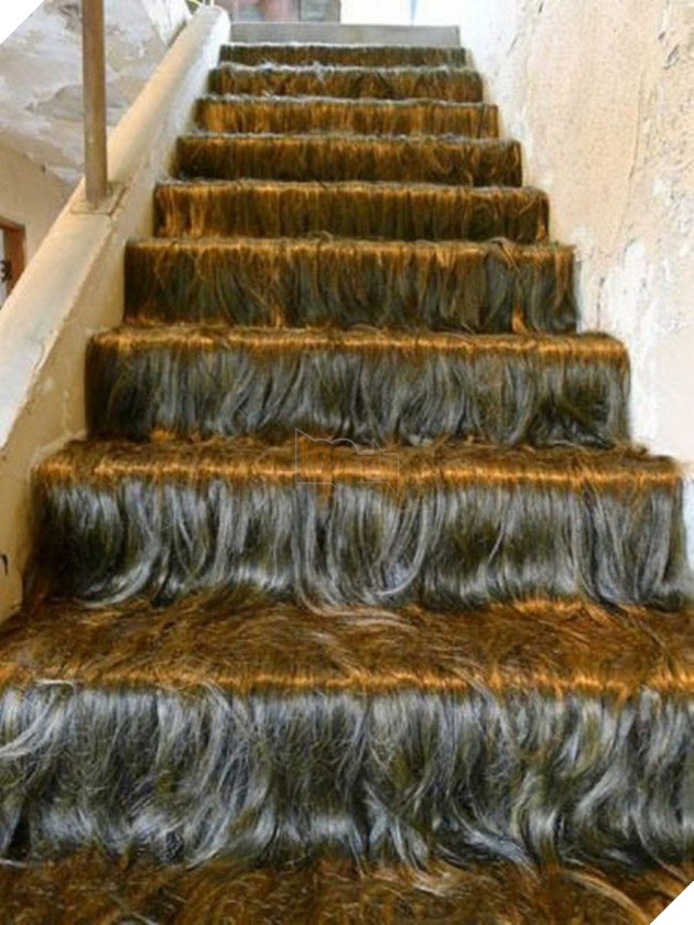 [Vui] Những bức ảnh phi logic khiến bạn cứ ngỡ mình bị hoa mắt - Ảnh 5.