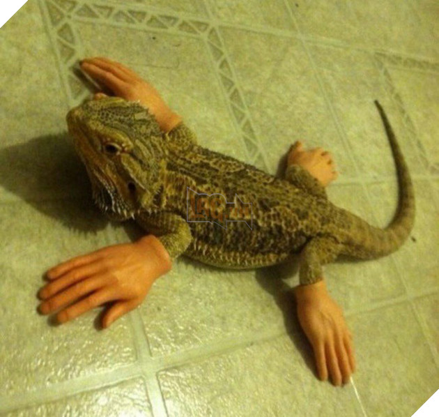 [Vui] Những bức ảnh phi logic khiến bạn cứ ngỡ mình bị hoa mắt - Ảnh 9.