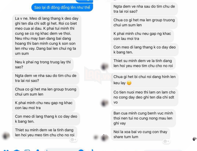 Bi cong dong Hutech truy tim vi om meo cua chu quan nuoc ve nha, nam sinh giai thich: “Tuong meo hoang nen dem ve roi tim chu tra lai 3 Bị cộng đồng Hutech truy tìm vì ôm mèo của chủ quán nước về nhà, nam sinh giải thích: “Tưởng mèo hoang nên đem về rồi tìm chủ trả lại 3