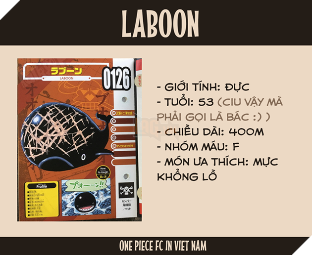 One Piece: Jinbe chính thức trở thành đồng đội của Luffy - Hé lộ thông tin thú vị về Ace và Râu Trắng - Ảnh 20. One Piece: Jinbe chính thức trở thành đồng đội của Luffy - Hé lộ thông tin thú vị về Ace và Râu Trắng - Ảnh 20.