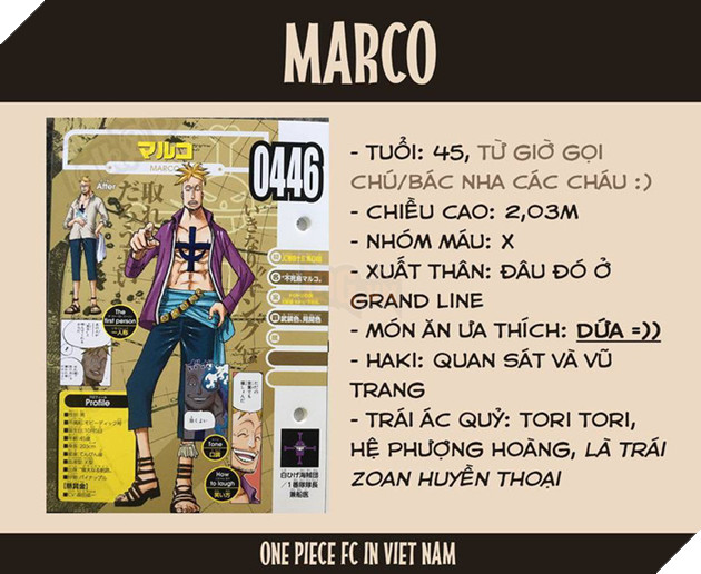 One Piece: Jinbe chính thức trở thành đồng đội của Luffy - Hé lộ thông tin thú vị về Ace và Râu Trắng - Ảnh 4. One Piece: Jinbe chính thức trở thành đồng đội của Luffy - Hé lộ thông tin thú vị về Ace và Râu Trắng - Ảnh 4.
