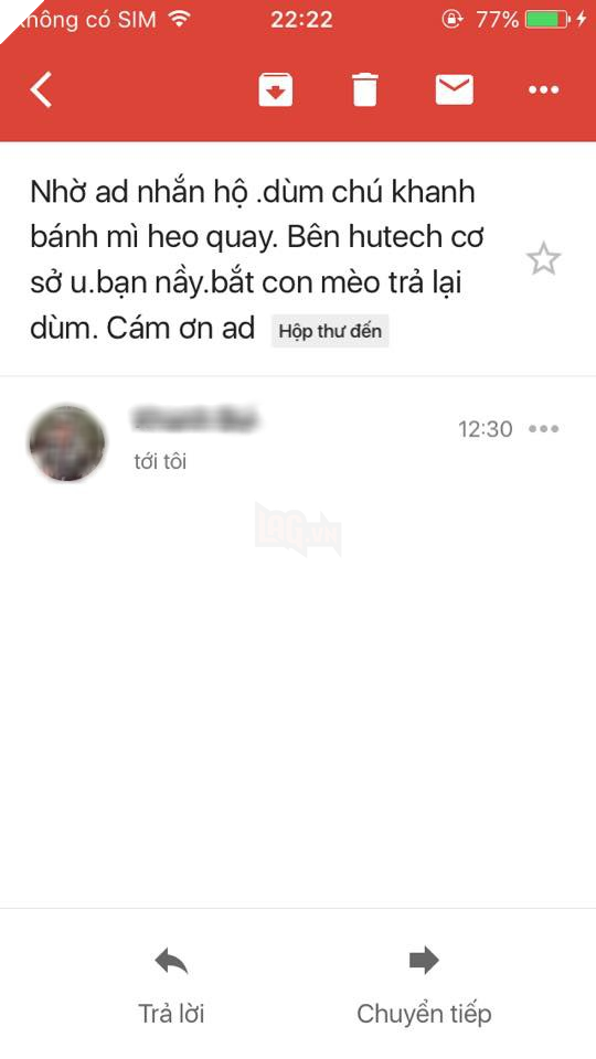 Bi cong dong Hutech truy tim vi om meo cua chu quan nuoc ve nha, nam sinh giai thich: “Tuong meo hoang nen dem ve roi tim chu tra lai 4 Bị cộng đồng Hutech truy tìm vì ôm mèo của chủ quán nước về nhà, nam sinh giải thích: “Tưởng mèo hoang nên đem về rồi tìm chủ trả lại 4